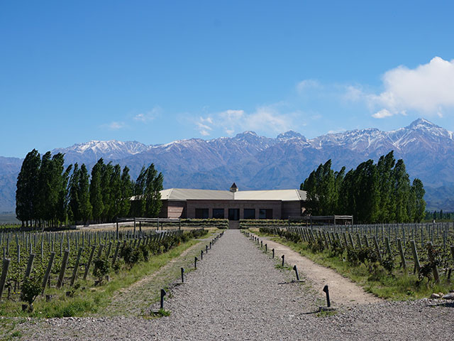 Building bordered by vineyards with mountains in the background